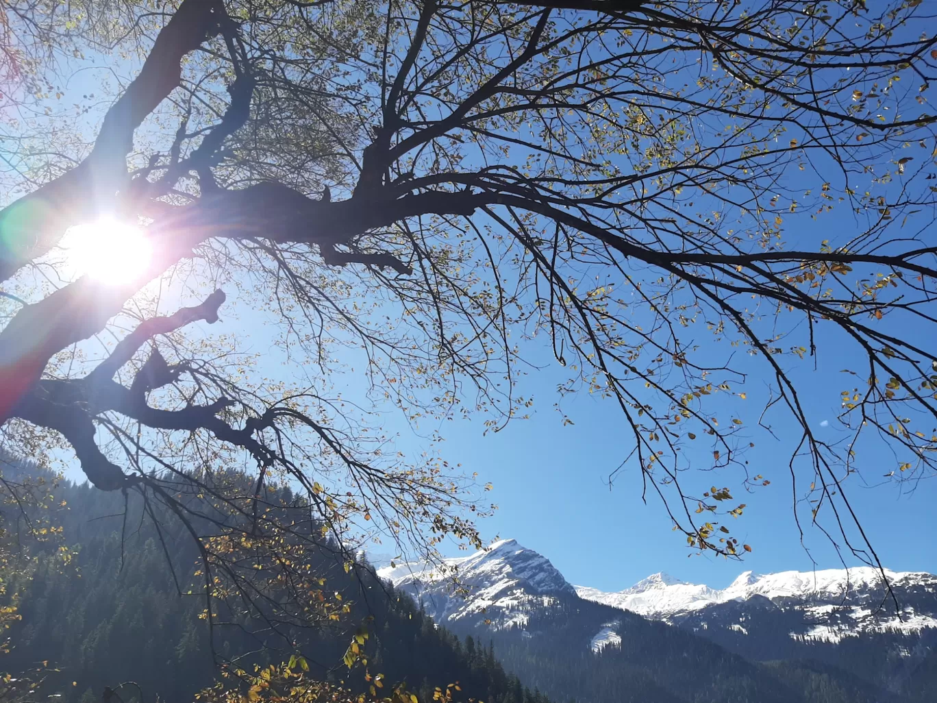 Photo of Kheerganga Trek By sumit kamal