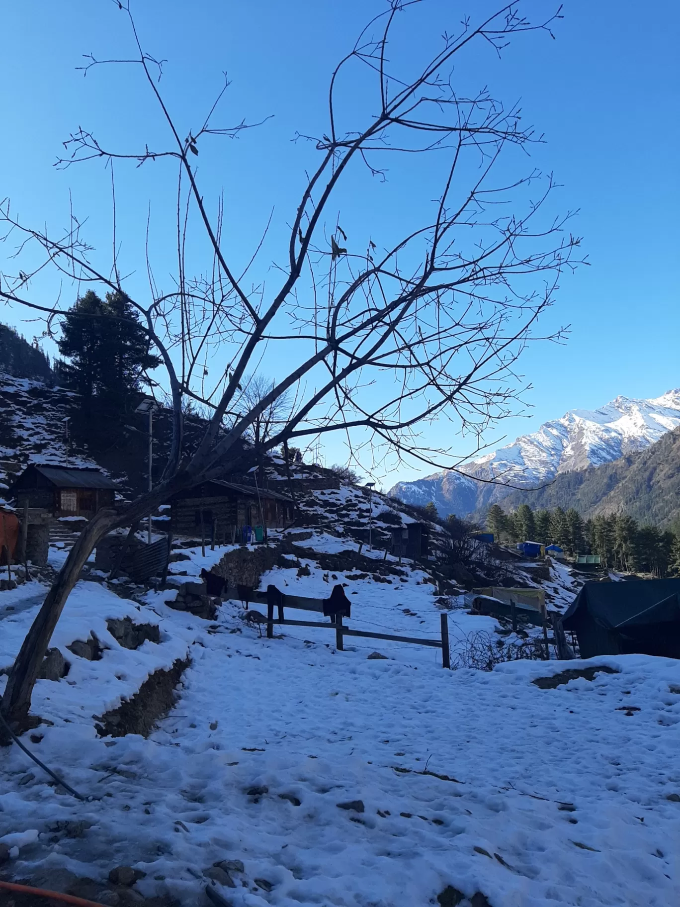 Photo of Kheerganga Trek By sumit kamal