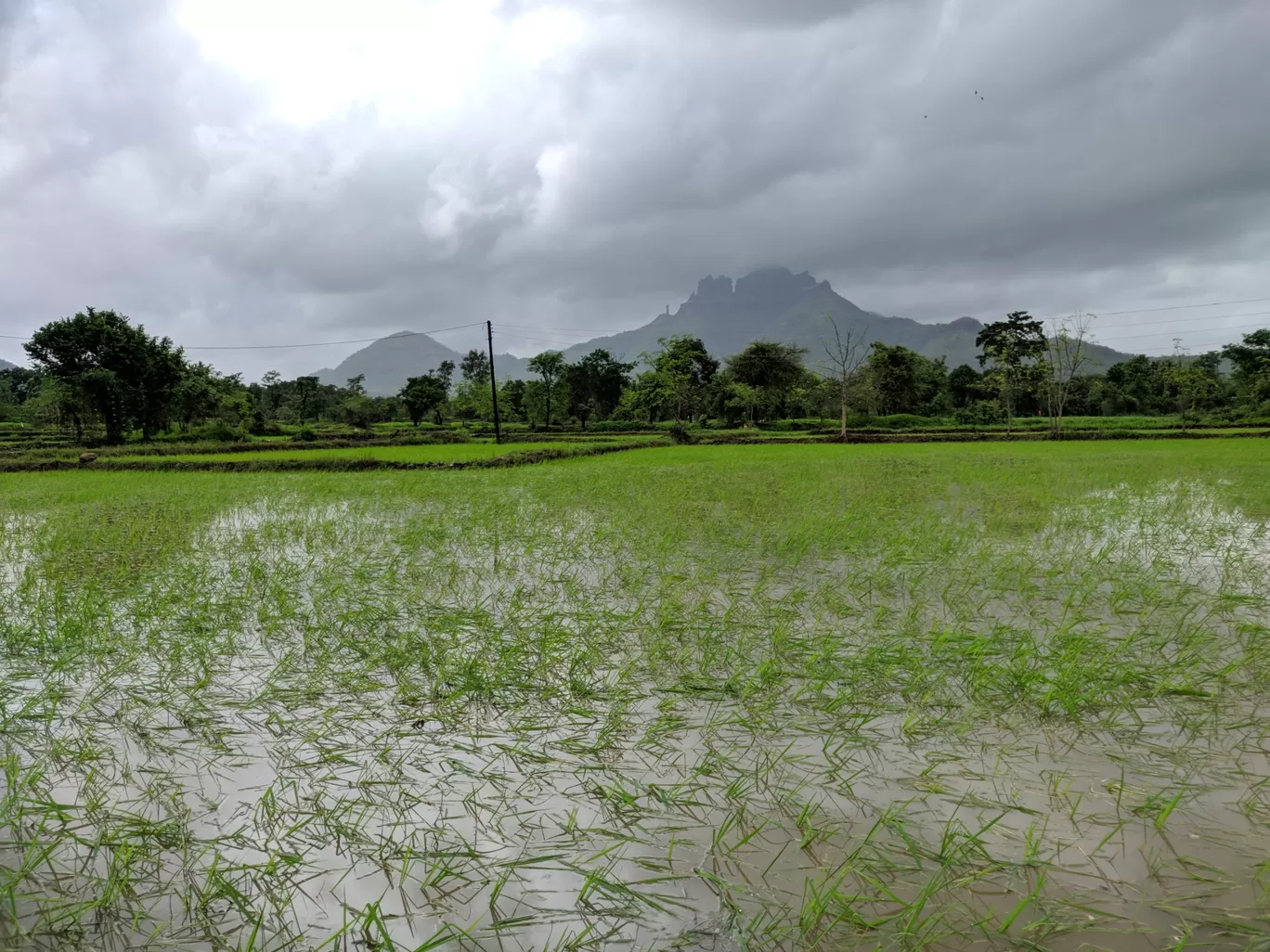 Photo of Dahagaon Road By Travel Diaries Of SIDD