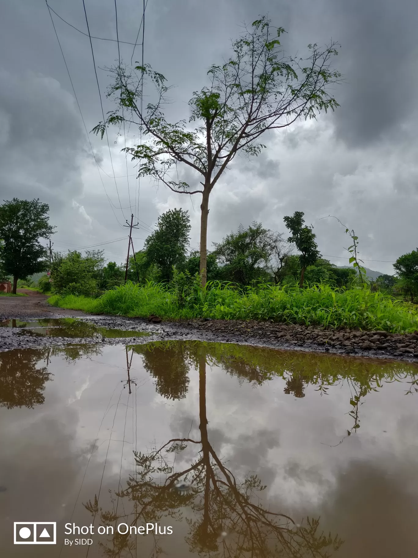 Photo of Dahagaon Road By Travel Diaries Of SIDD