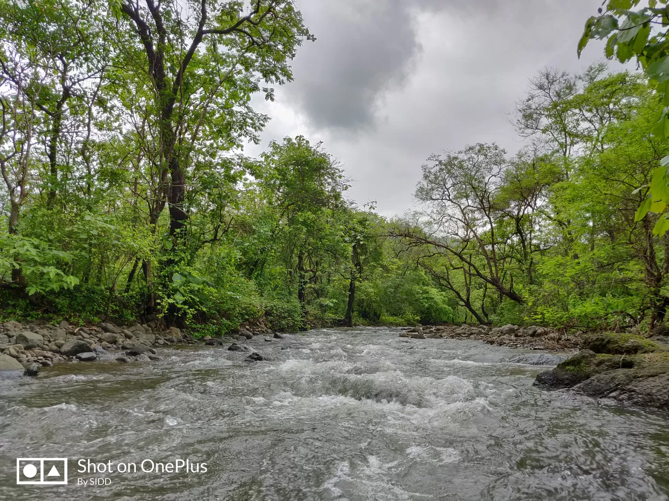Photo of Dahagaon Road By Travel Diaries Of SIDD