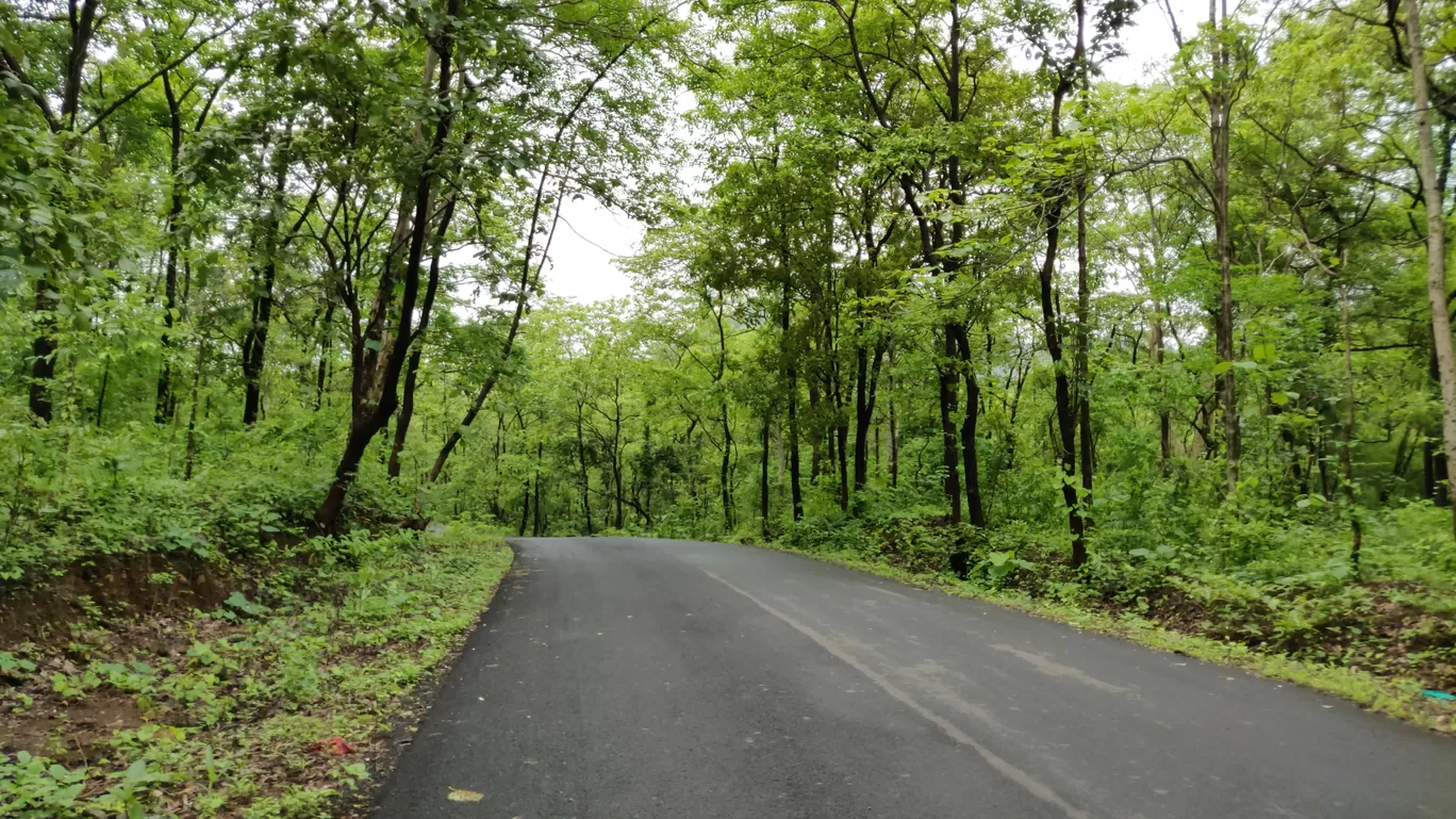 Photo of Dahagaon Road By Travel Diaries Of SIDD