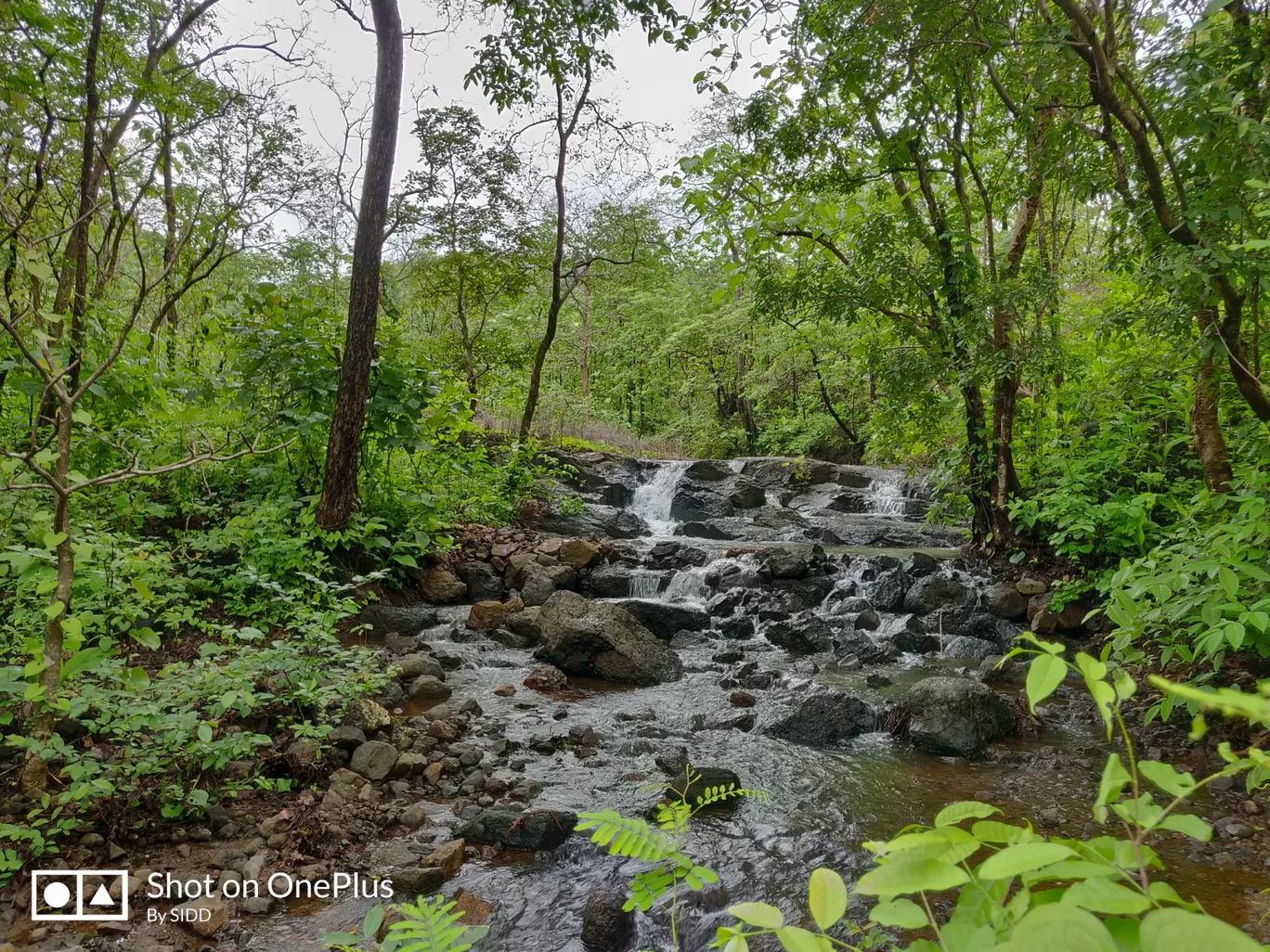 Photo of Dahagaon Road By Travel Diaries Of SIDD