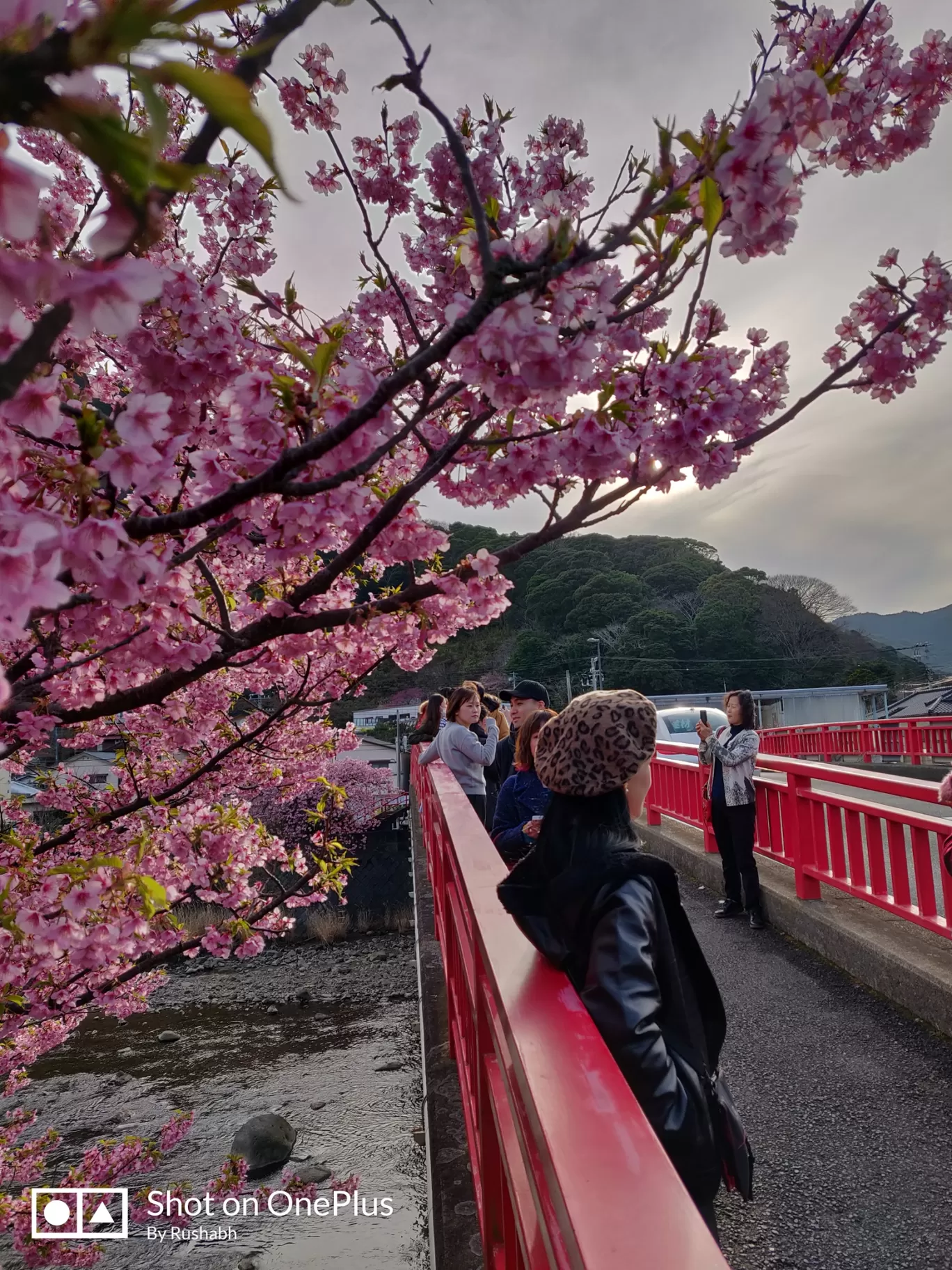 Photo of Kawazu By Rushabh Dudhedia