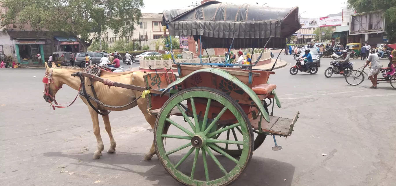 Photo of Ajmer By Abhishek Tanwar