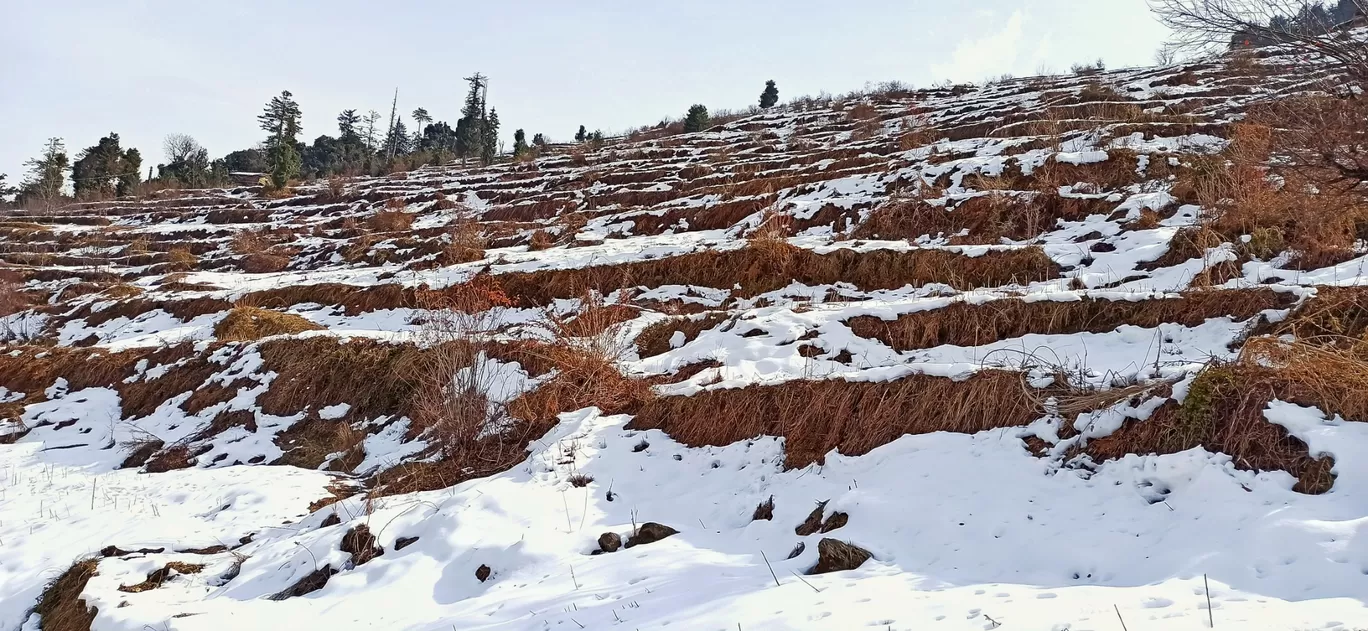 Photo of Kedarkantha By Jotiba Gondkar