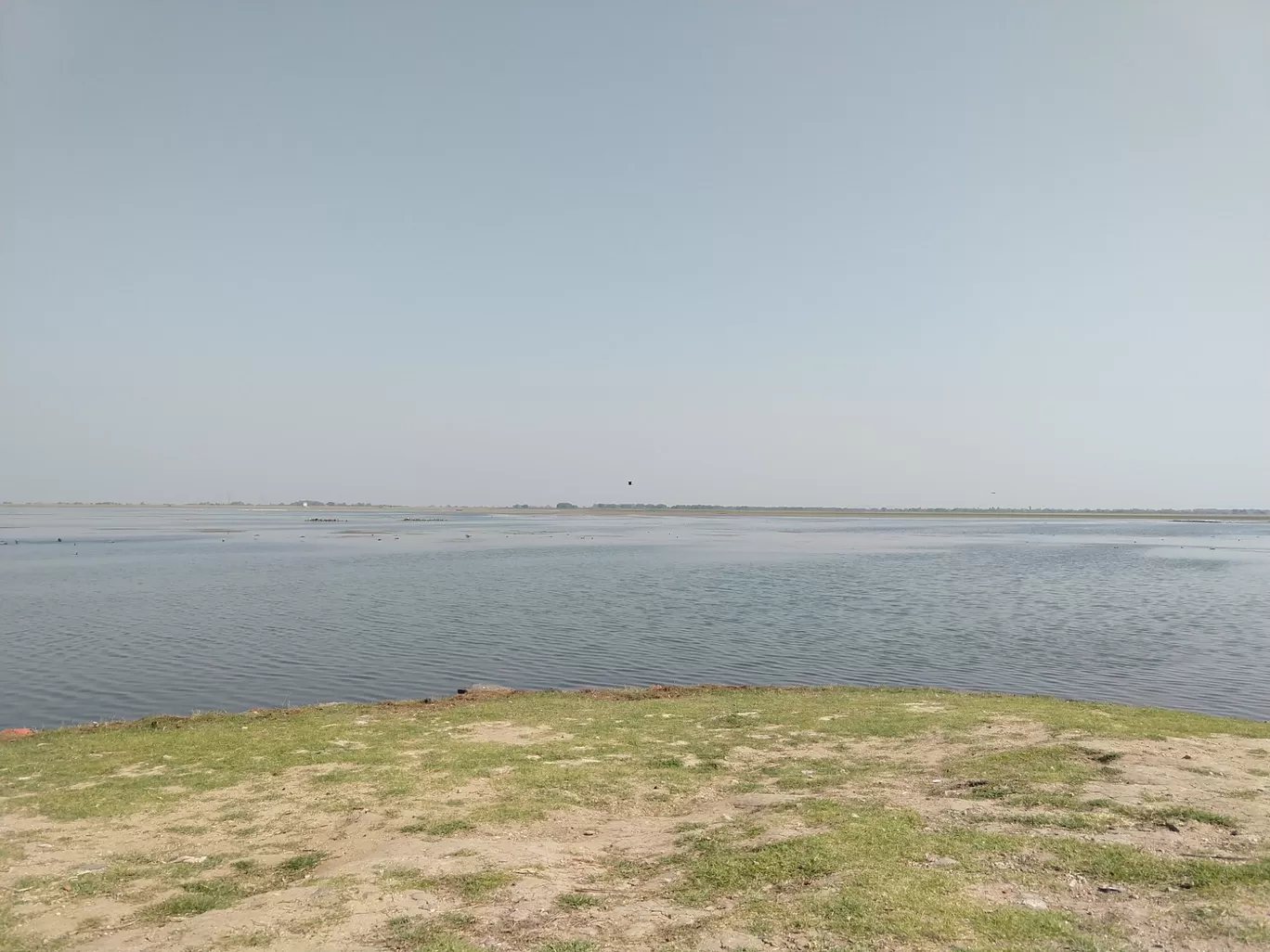 Photo of Vadhavana Bird Sanctuary Trail By Pavan Pandit