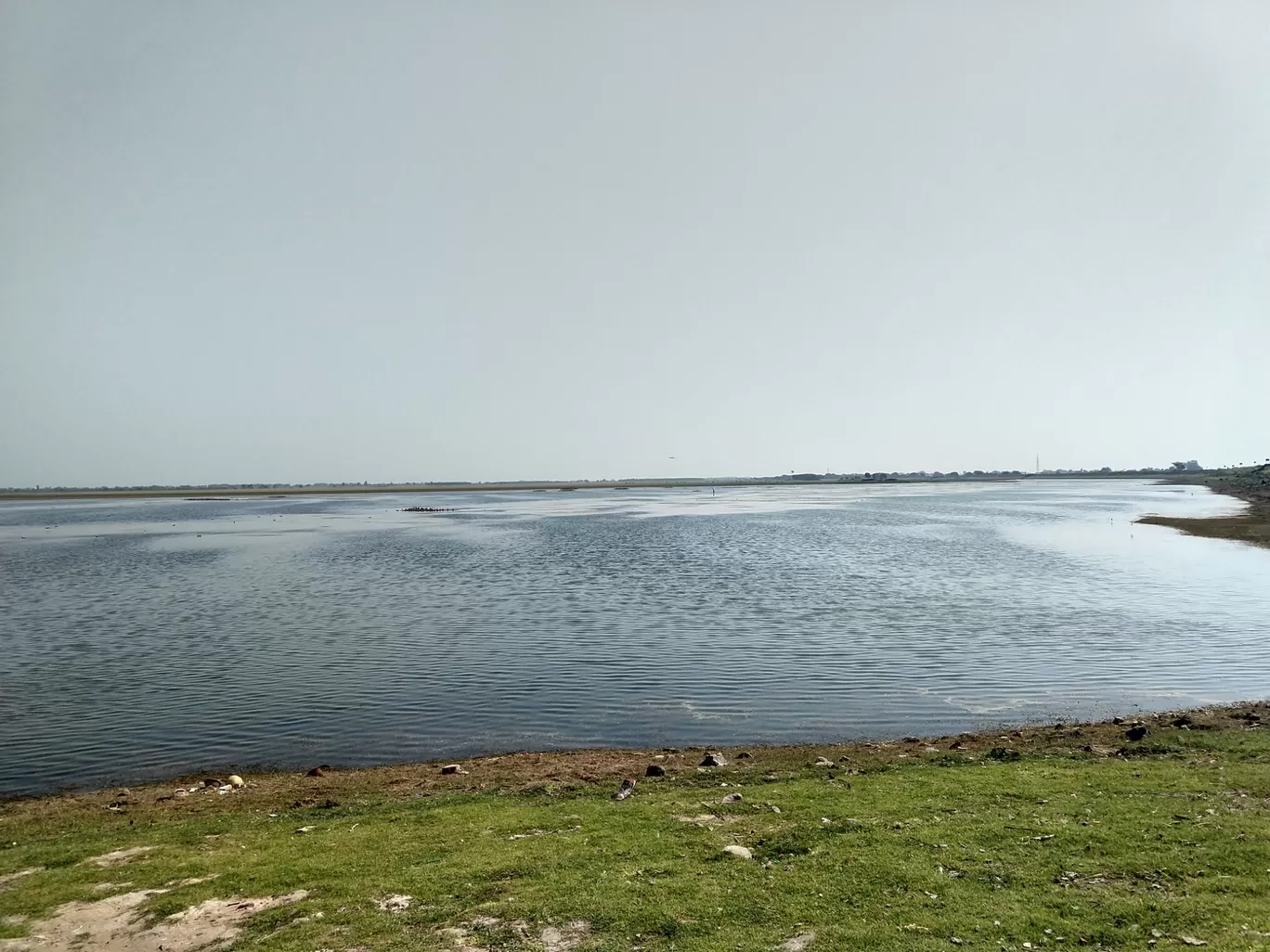Photo of Vadhavana Bird Sanctuary Trail By Pavan Pandit