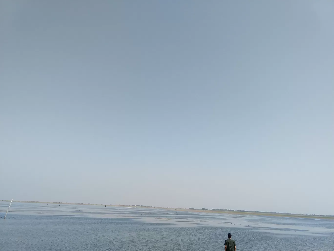 Photo of Vadhavana Bird Sanctuary Trail By Pavan Pandit