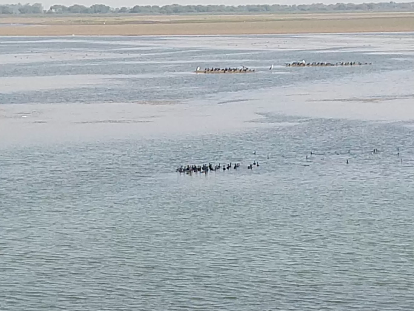 Photo of Vadhavana Bird Sanctuary Trail By Pavan Pandit