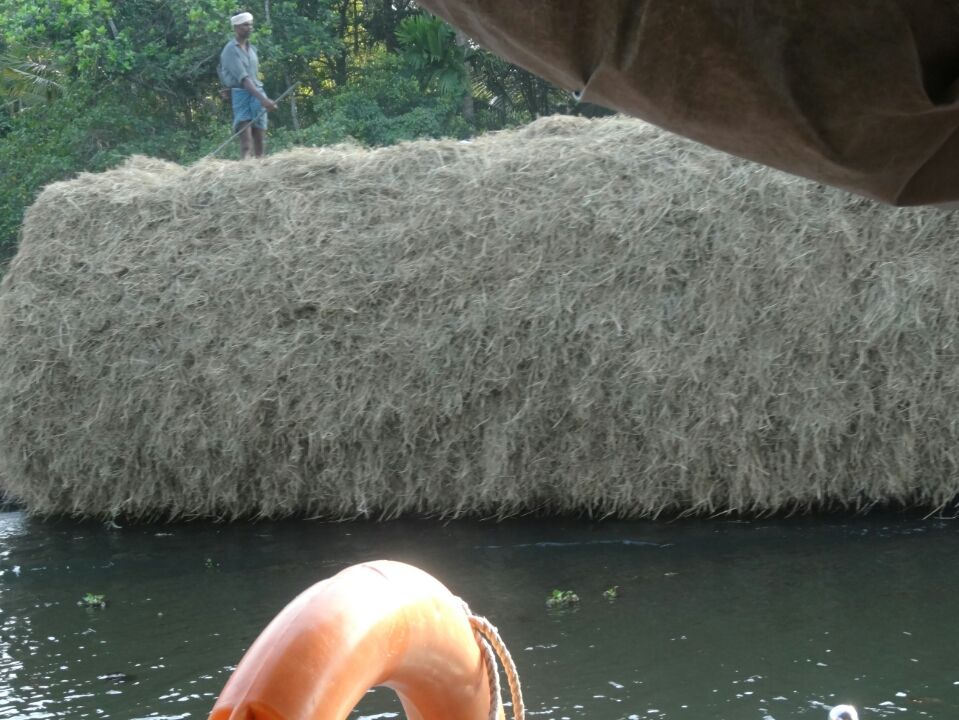 Photo of Beautiful Kerala By Sheetal Patel
