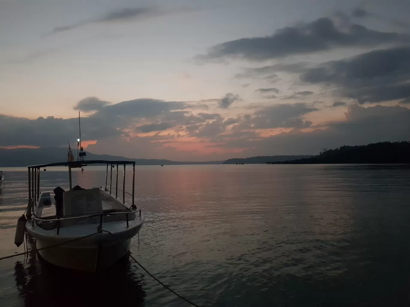 Photo of Chidiya Tapu By Bhavik Dhruva