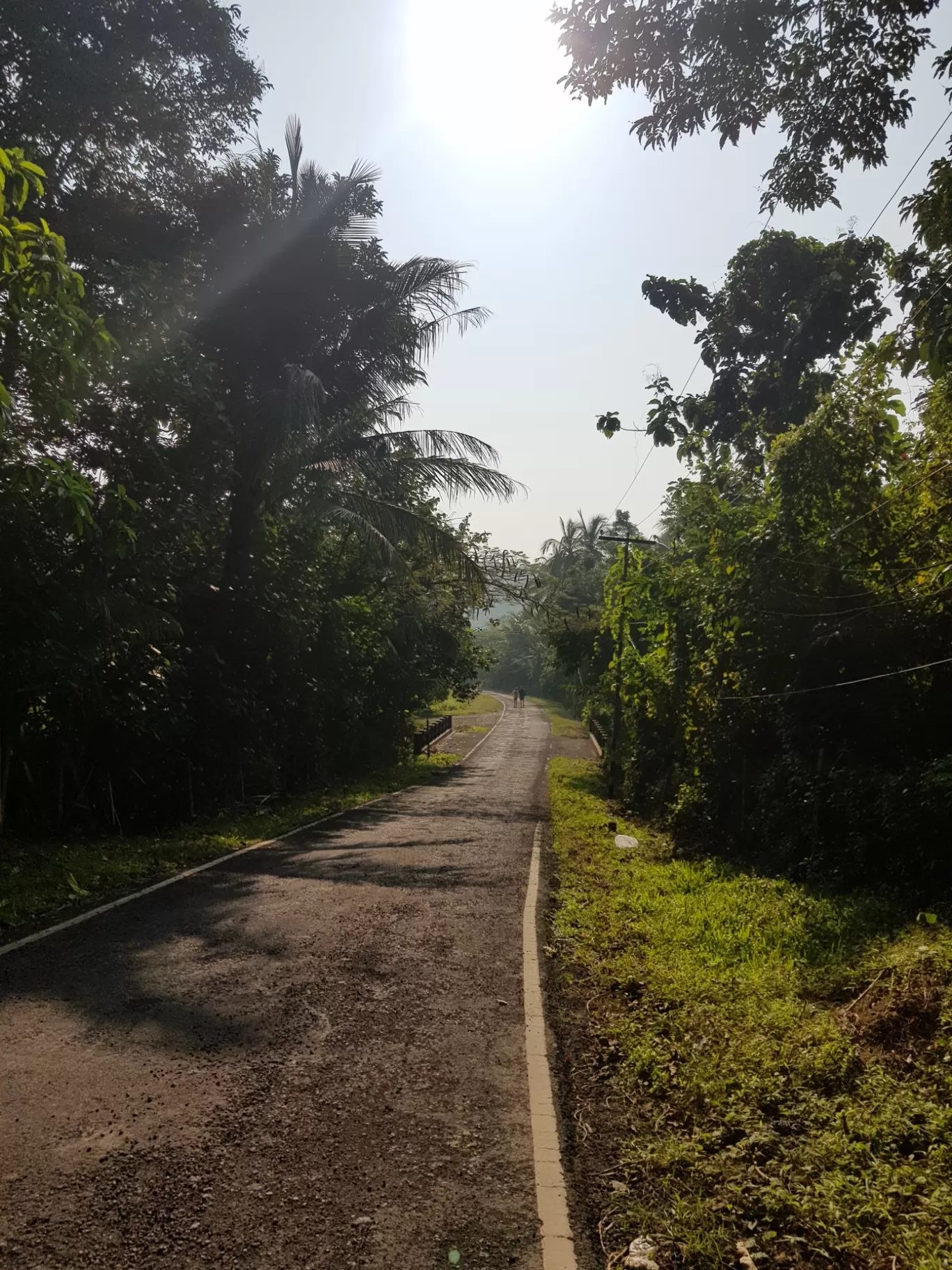 Photo of Chidiya Tapu By Bhavik Dhruva