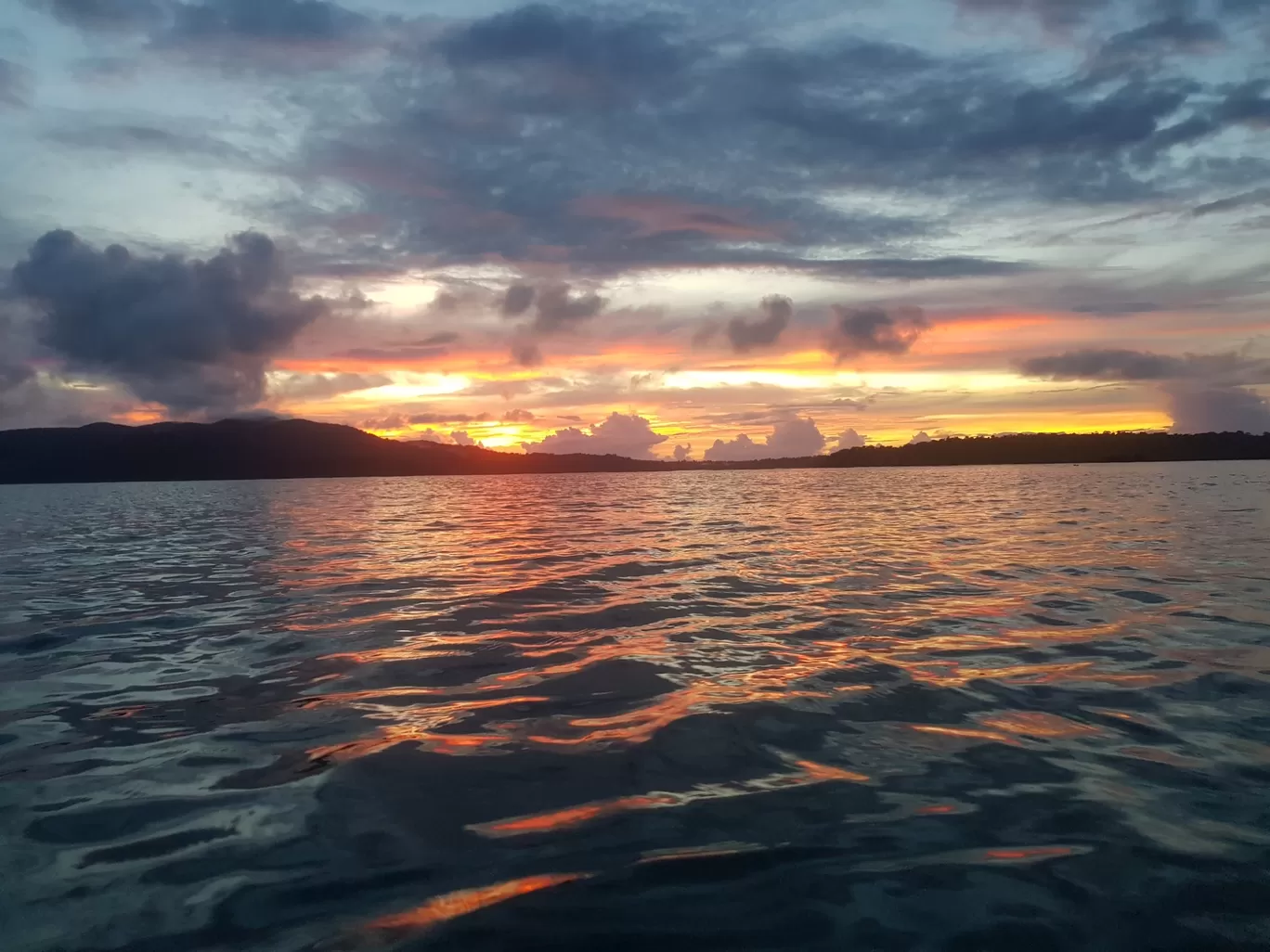 Photo of Chidiya Tapu By Bhavik Dhruva