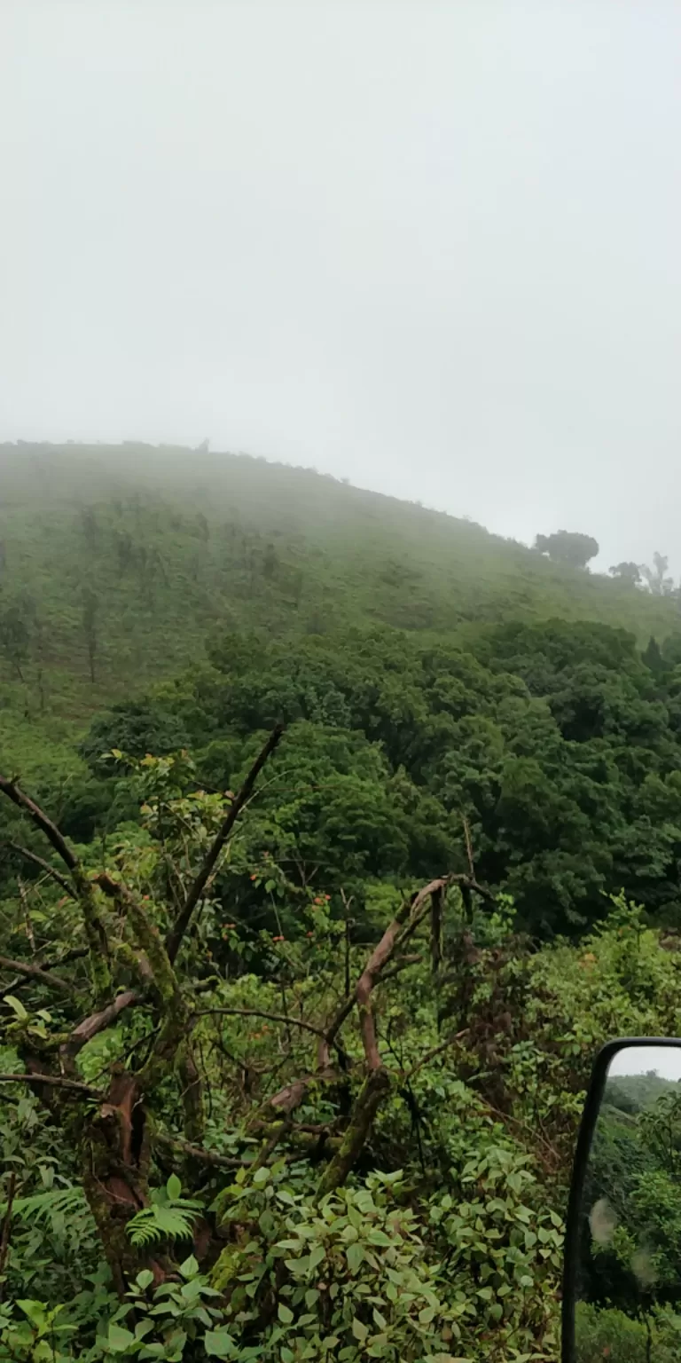 Photo of Kemmangundi By saran raj