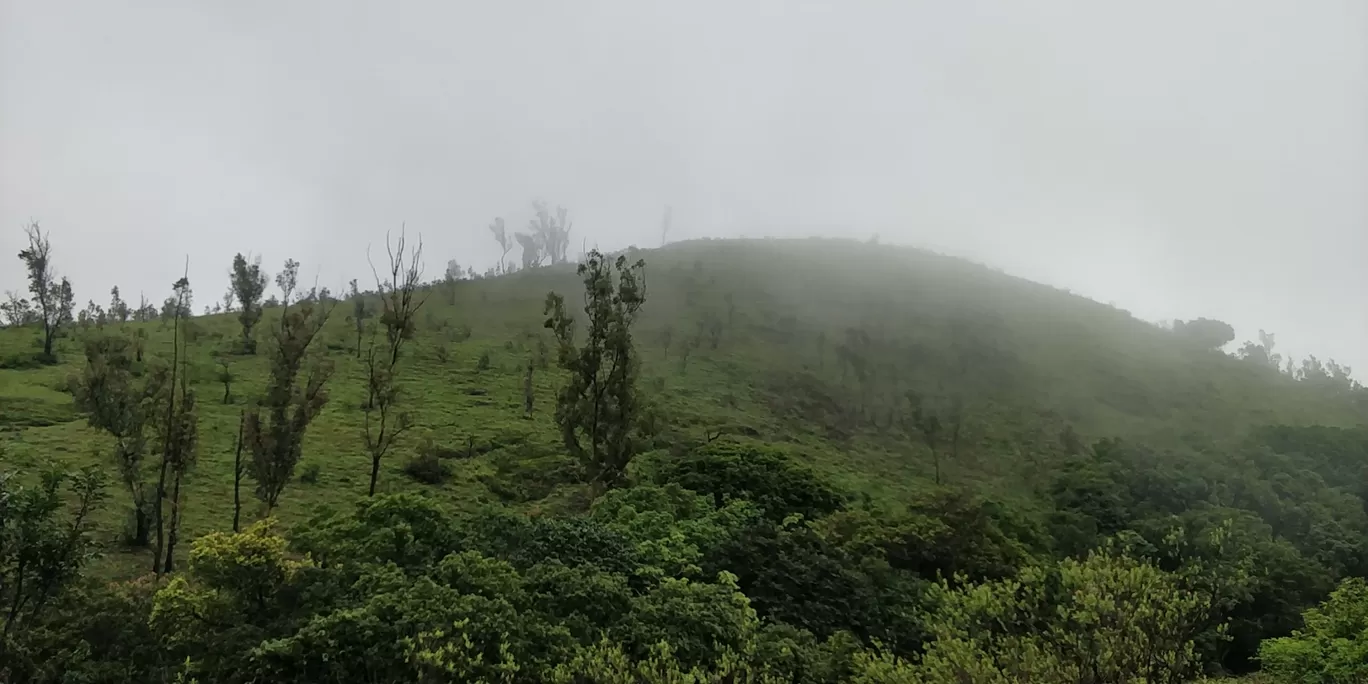 Photo of Kemmangundi By saran raj