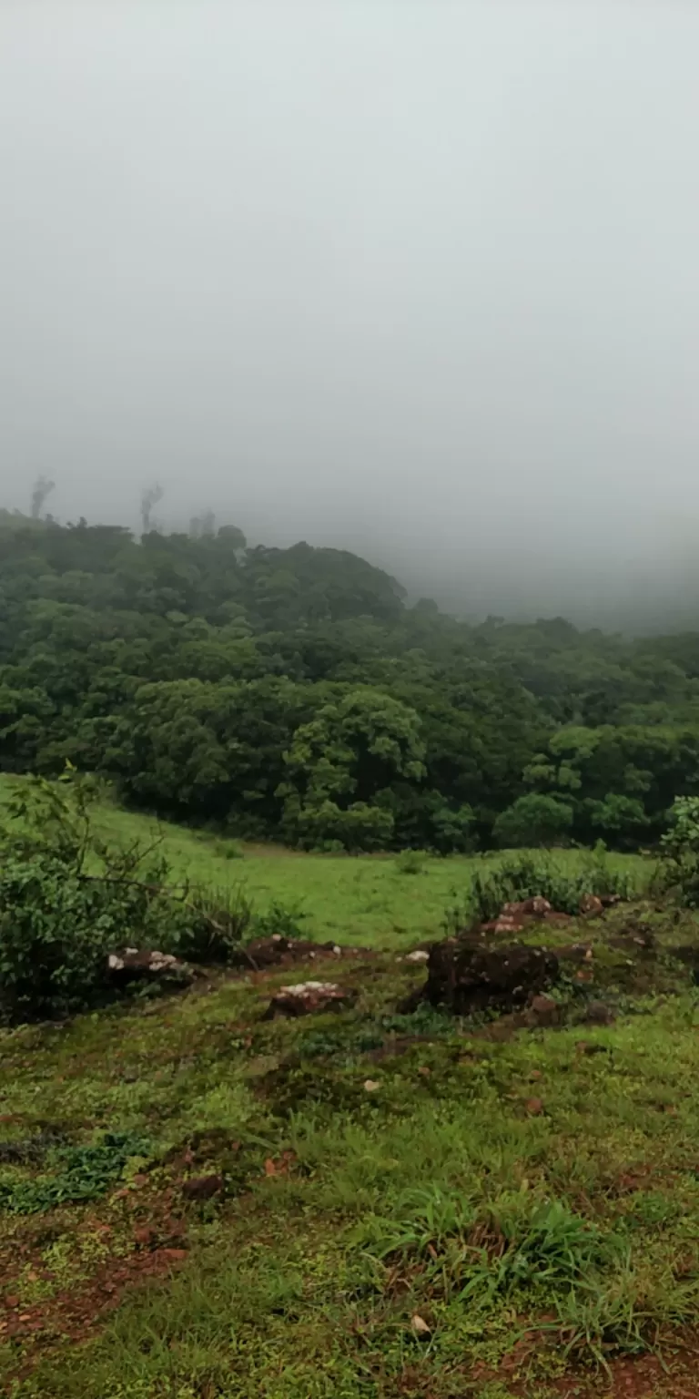 Photo of Kemmangundi By saran raj