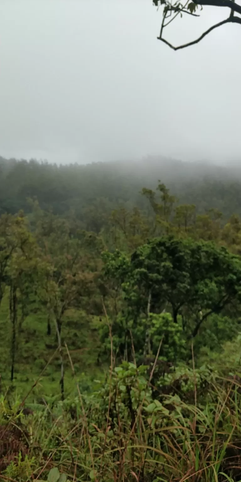 Photo of Kemmangundi By saran raj
