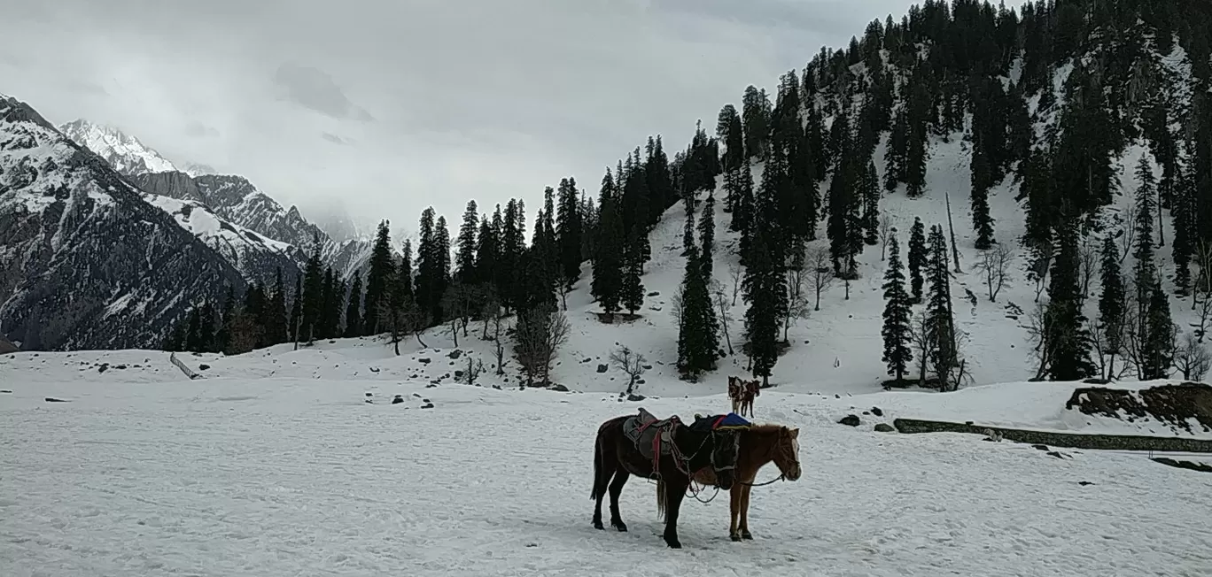 Photo of Kashmir By Dhivya