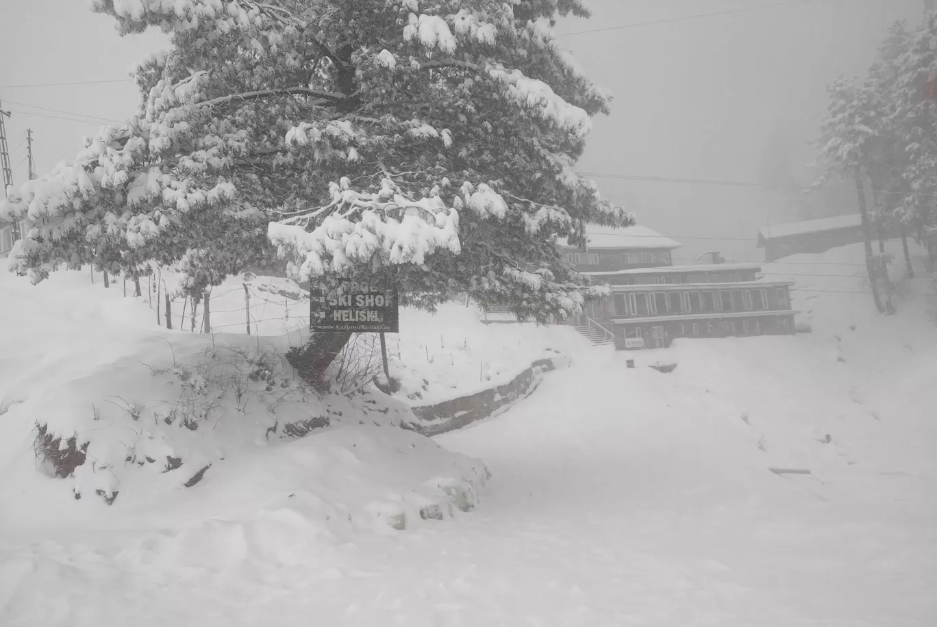 Photo of Kashmir By Dhivya