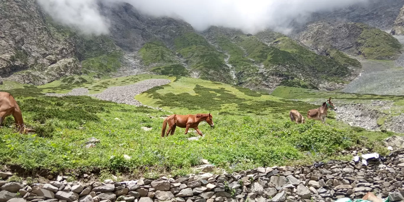 Photo of Chamba By Raju Gupta