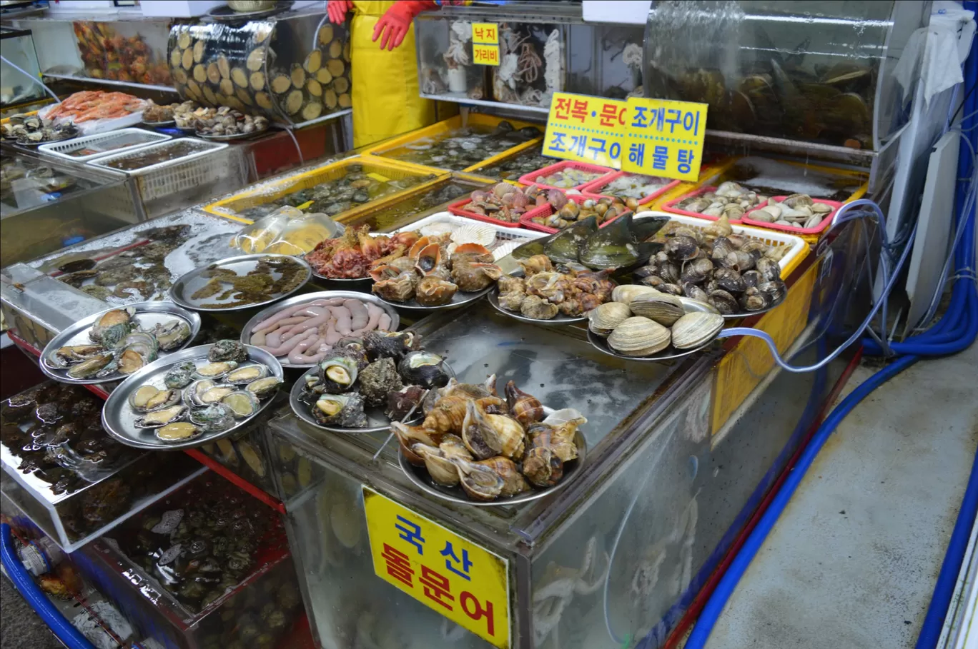 Photo of South Korea By Reni Elizabeth