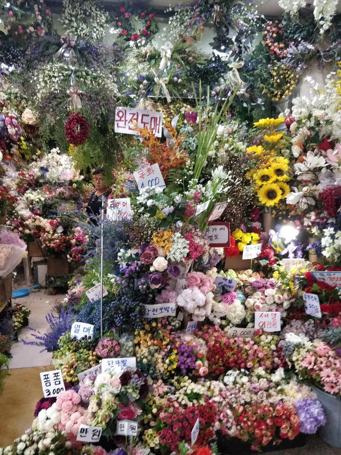 Photo of South Korea By Reni Elizabeth