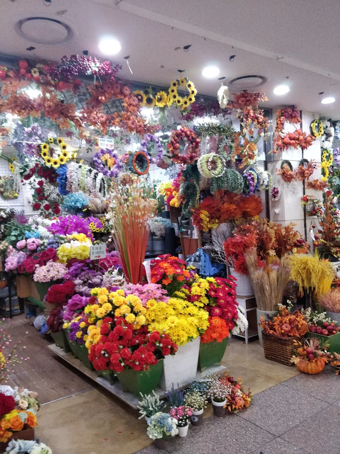 Photo of South Korea By Reni Elizabeth
