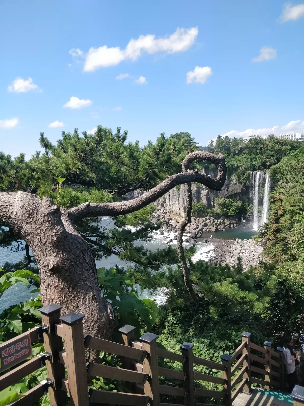 Photo of South Korea By Reni Elizabeth