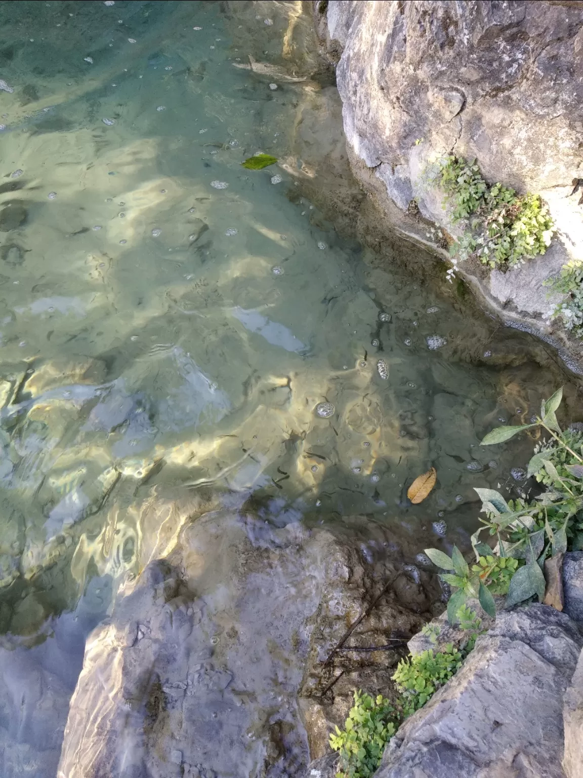 Photo of Rishikesh By Bhoopinder Kumar