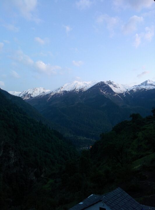 Photo of Wandering in Himachal's cold pine forest By Sameer Nawab