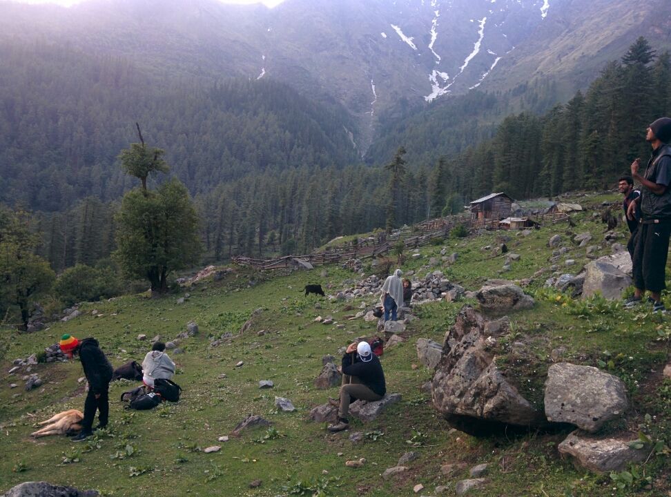 Photo of Wandering in Himachal's cold pine forest By Sameer Nawab