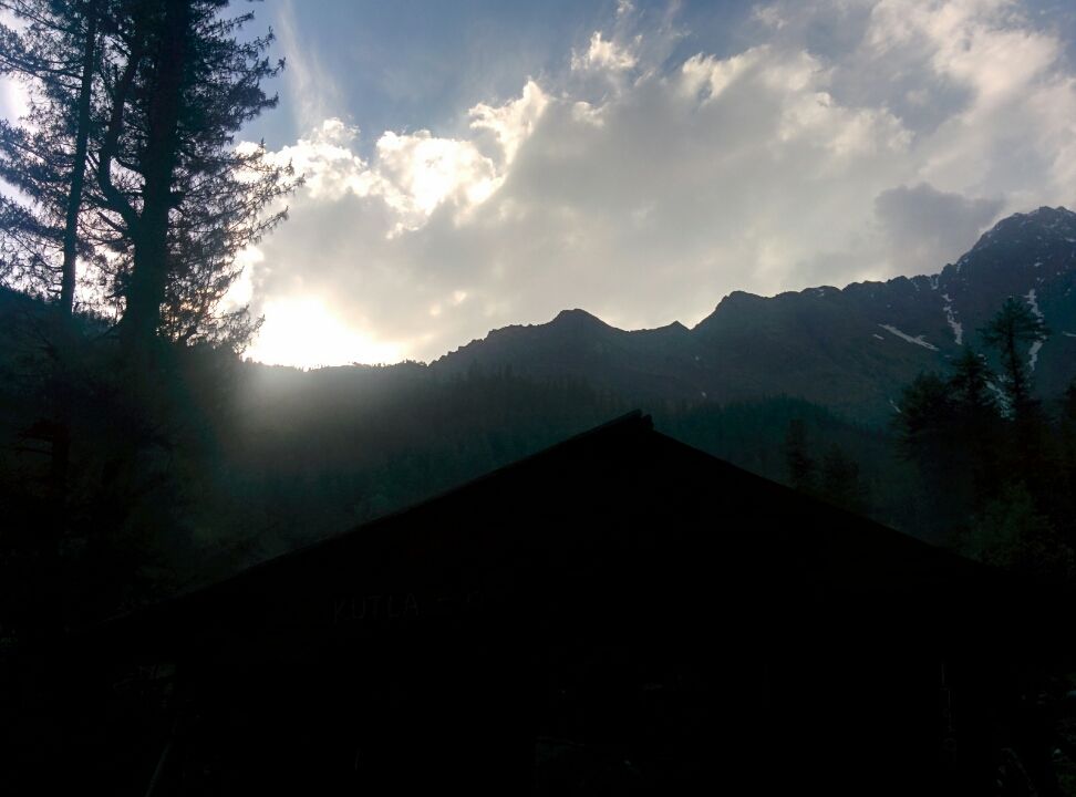 Photo of Wandering in Himachal's cold pine forest By Sameer Nawab