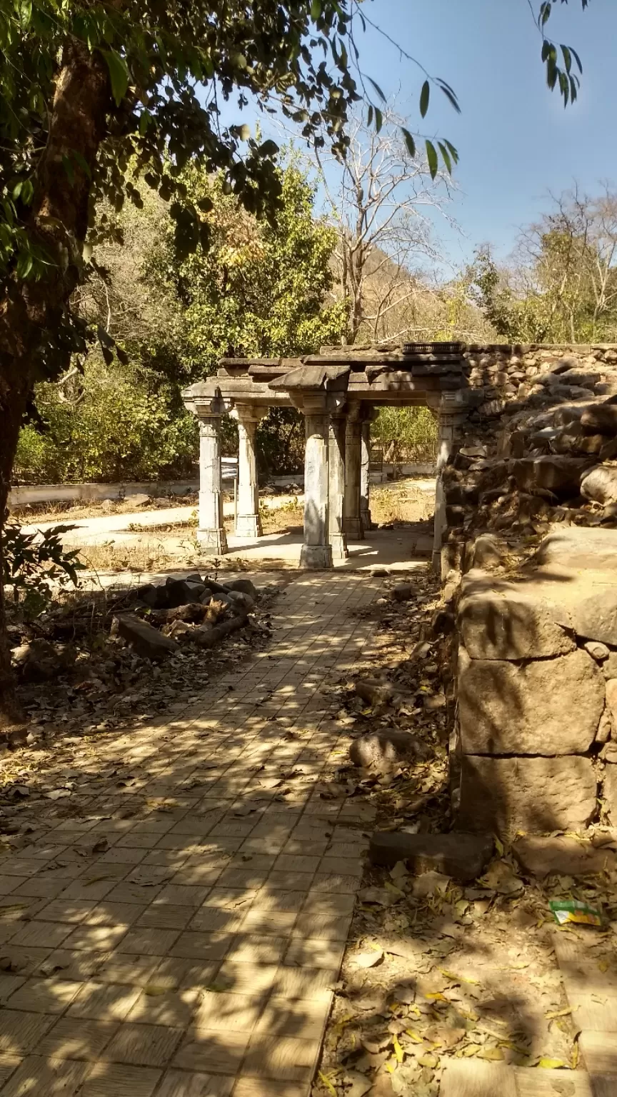 Photo of Polo Forest By Meet Shah