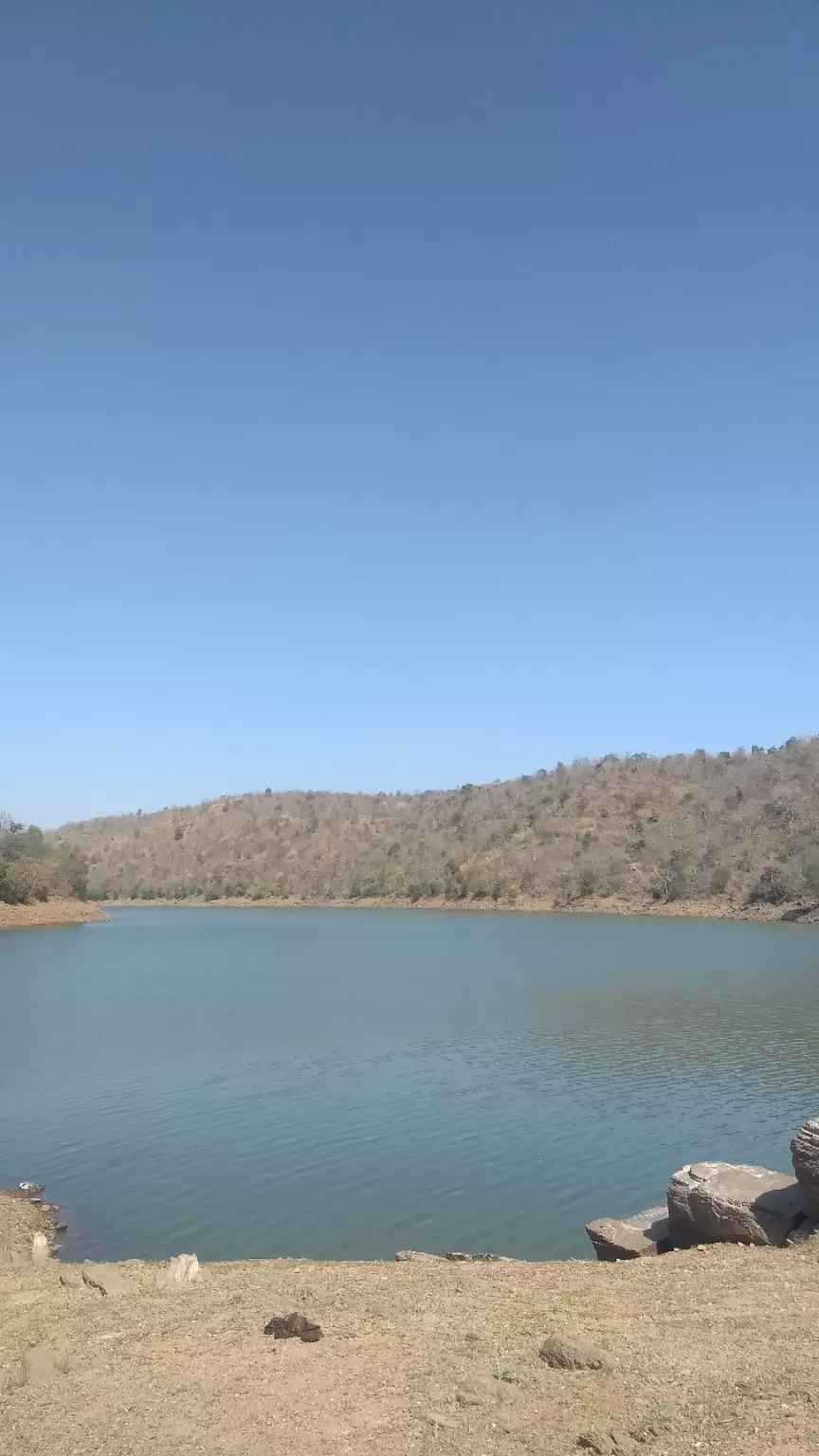 Photo of Polo Forest By Meet Shah