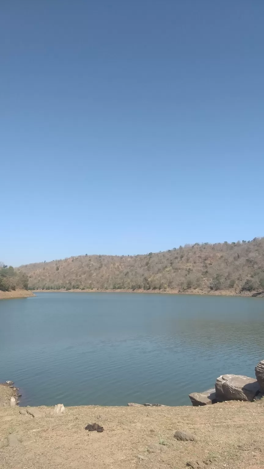 Photo of Polo Forest By Meet Shah