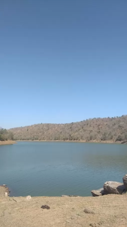 Photo of Polo Forest By Meet Shah