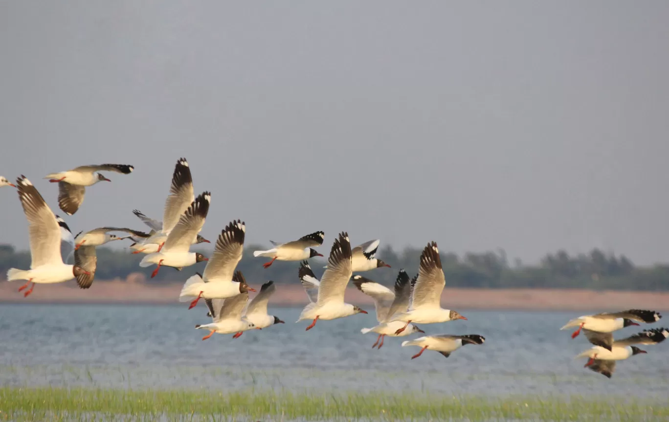 Photo of MousuniIsland EnjoyPark By Snehasis Chakraborty