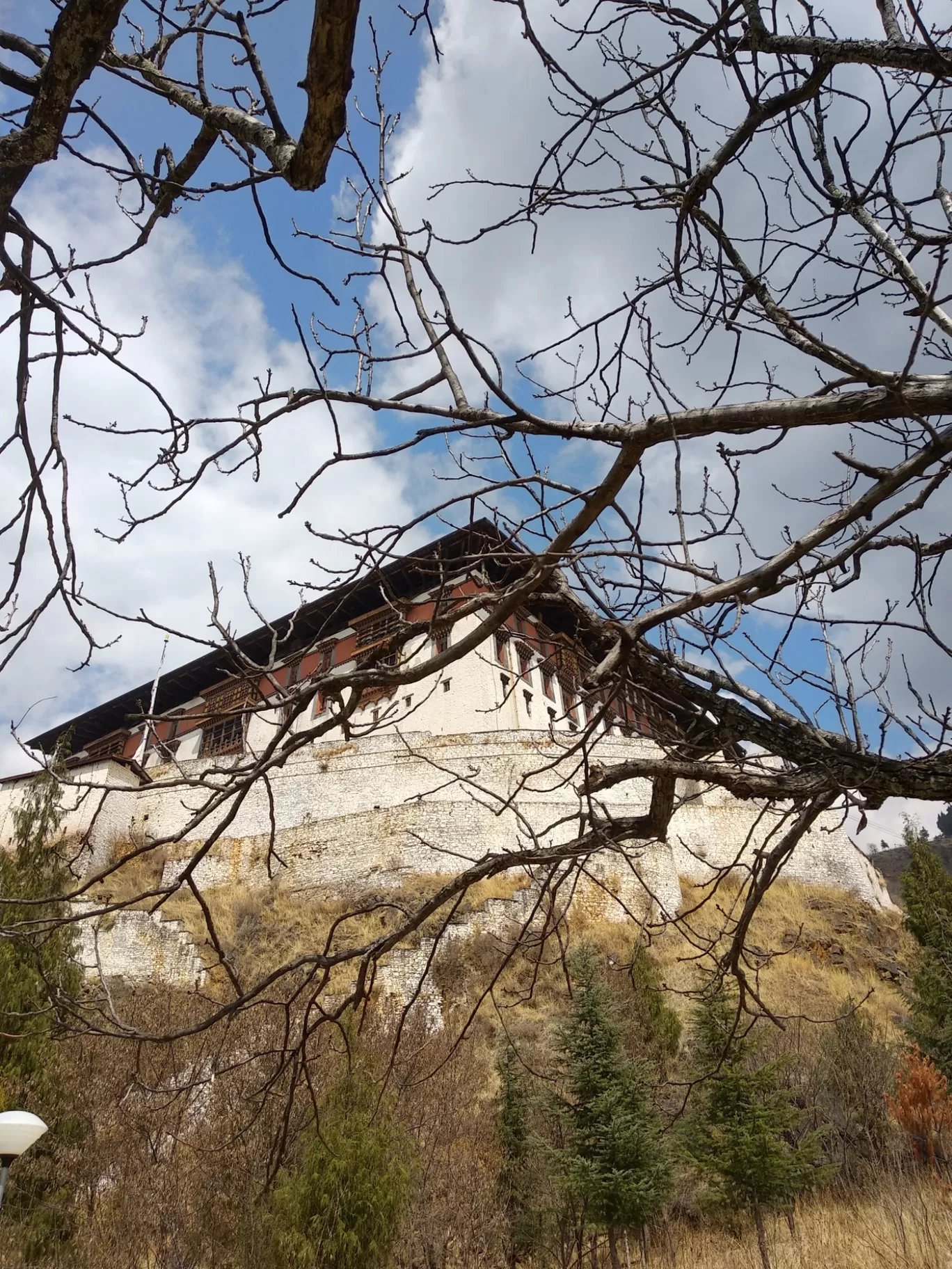 Photo of Paro By Atul Shishodia