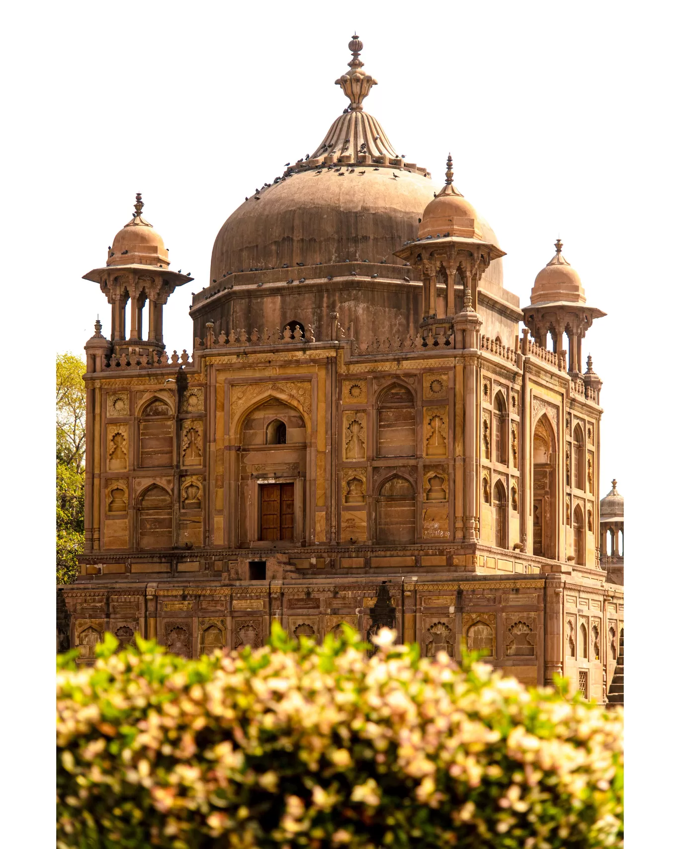 Photo of Khusro Bagh Prayagraj By Rahul Prajapati