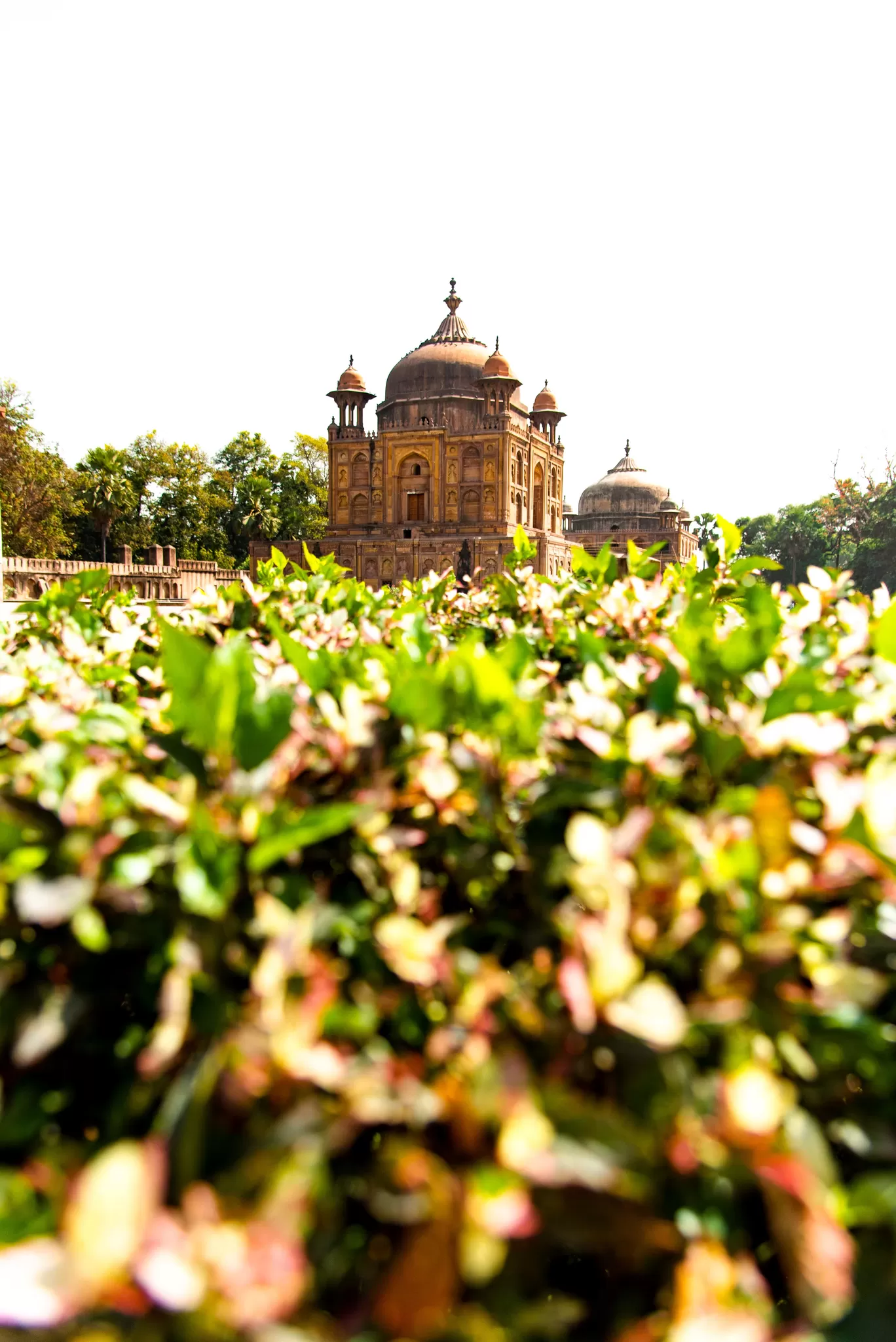 Photo of Khusro Bagh Prayagraj By Rahul Prajapati