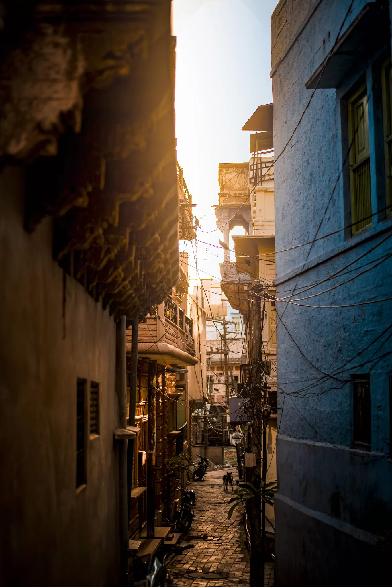 Photo of Jodhpur By Rahul Prajapati