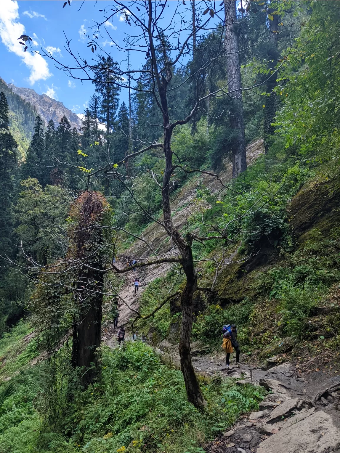 Photo of Kheerganga trek By that_stupid_dandelion