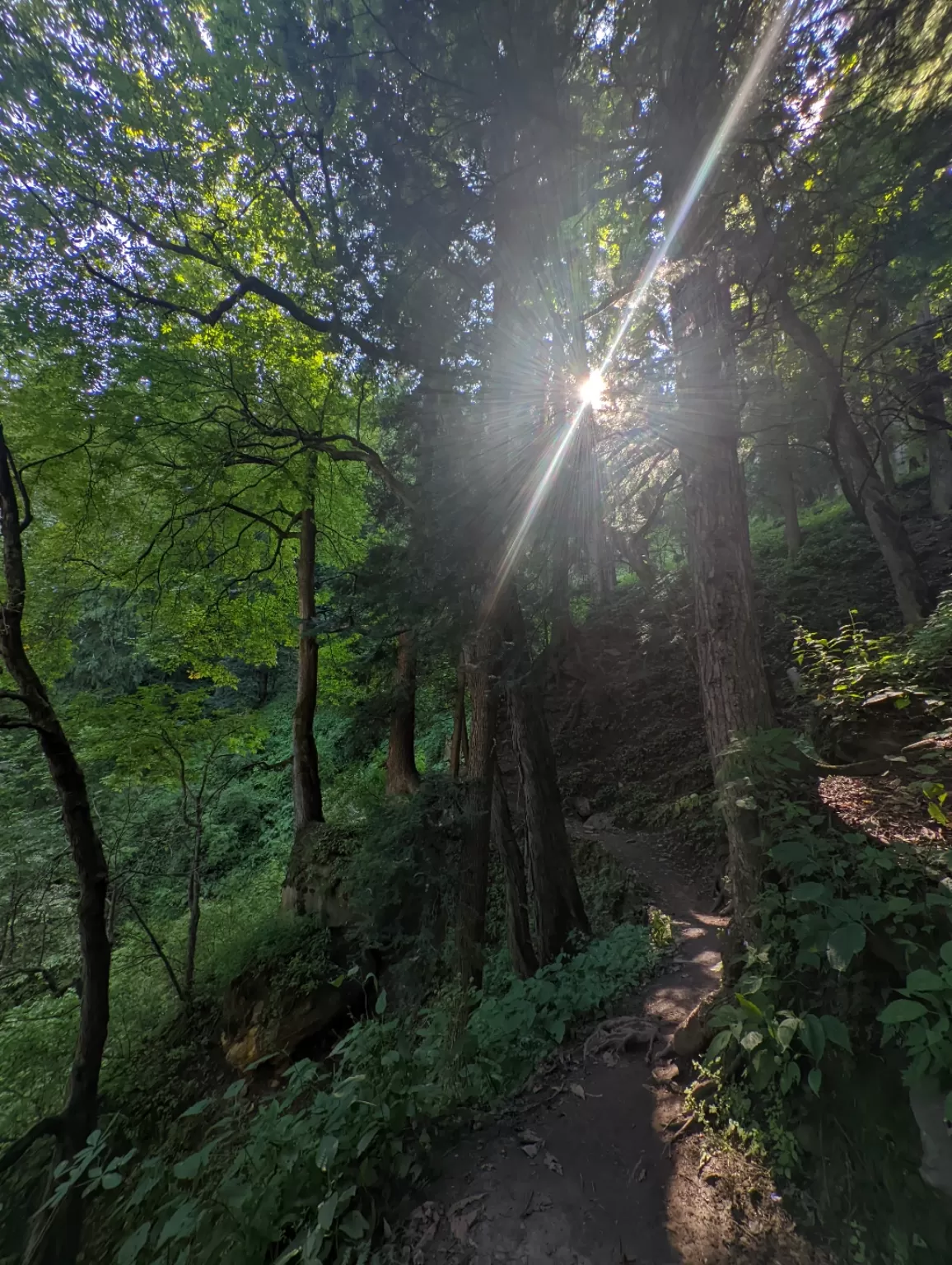 Photo of Kheerganga trek By that_stupid_dandelion