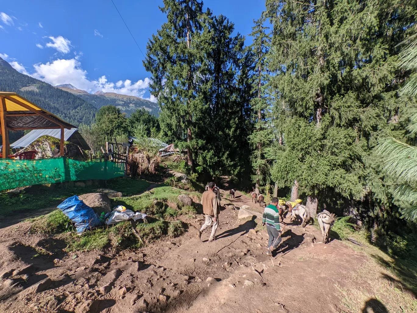 Photo of Kheerganga trek By that_stupid_dandelion