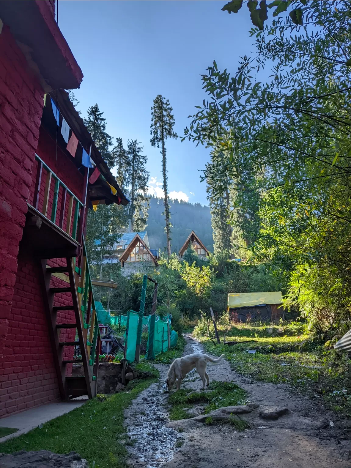 Photo of Kheerganga trek By that_stupid_dandelion