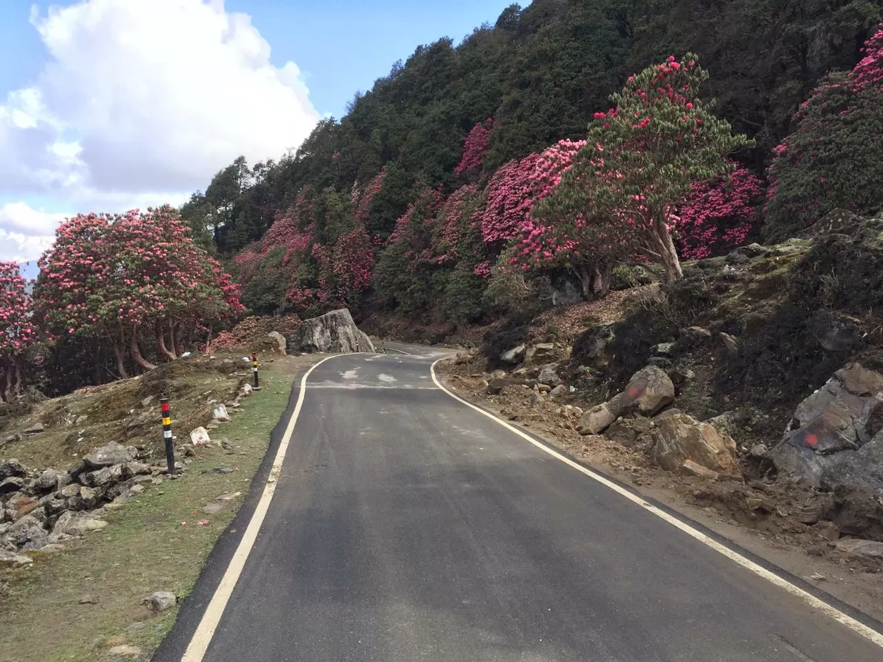 Photo of Chopta By Aman Jangra