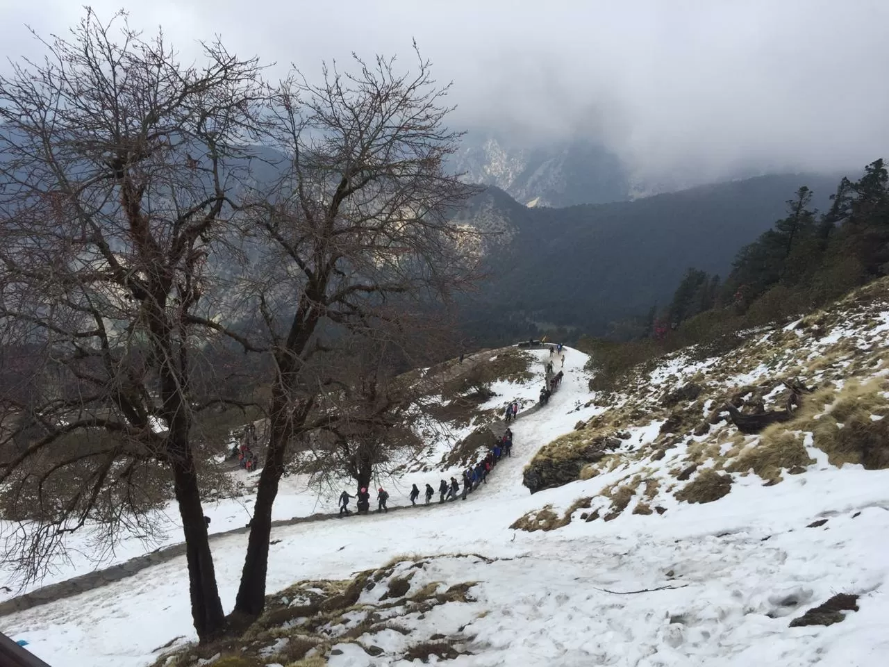 Photo of Chopta By Aman Jangra