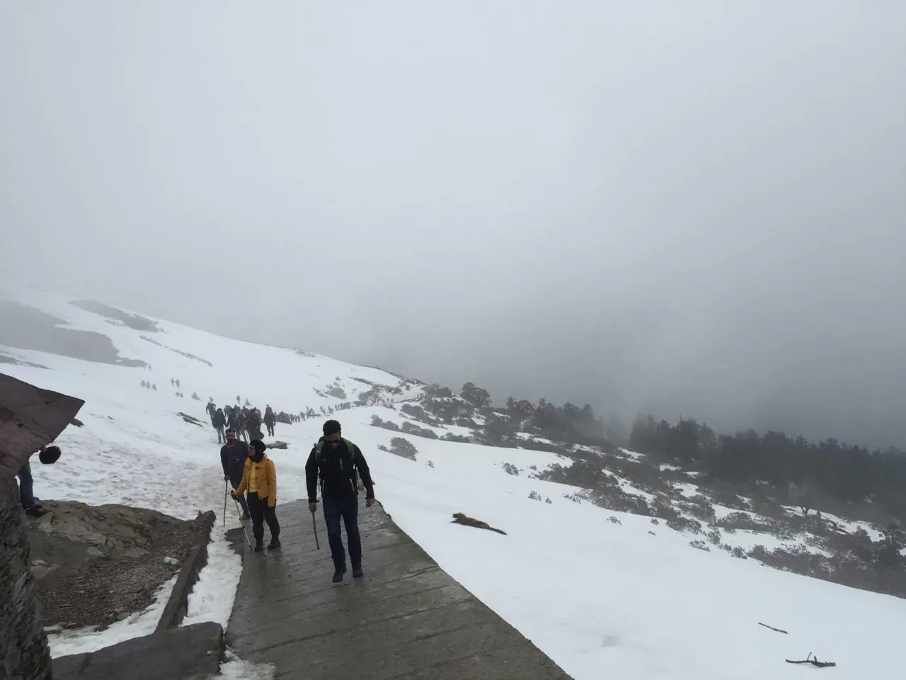 Photo of Chopta By Aman Jangra