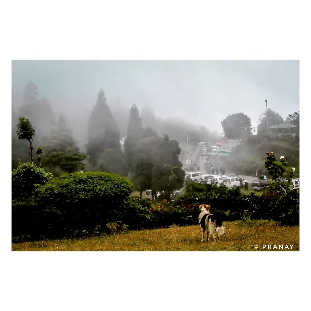 Photo of India By Pranay Barla